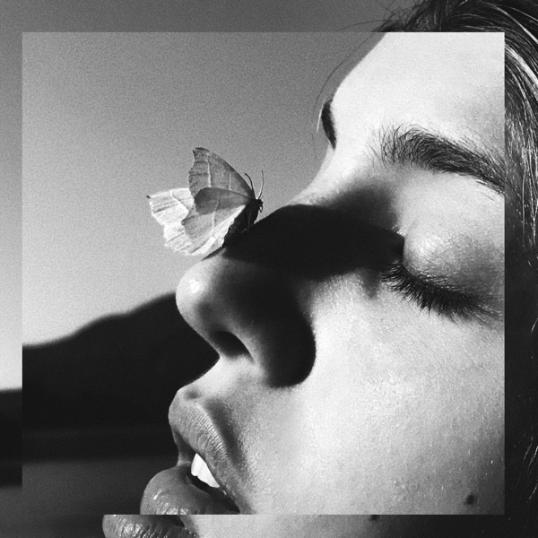 End of Terror by Felicia Lu cover